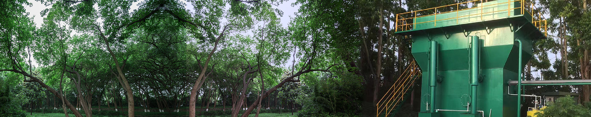 http://www.fukung.cn/data/upload/202002/20200218164318_949.jpg
